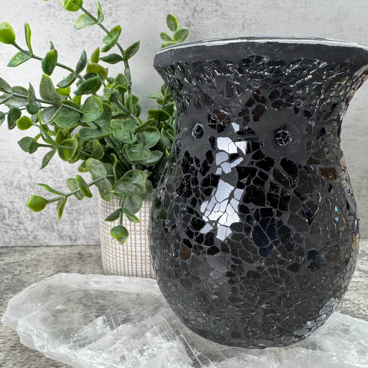 Decorative black mosaic wall art with a plant on a textured surface