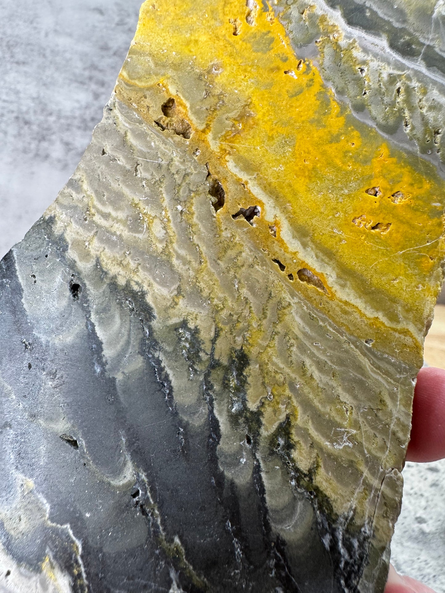 Bumblebee Jasper Slab