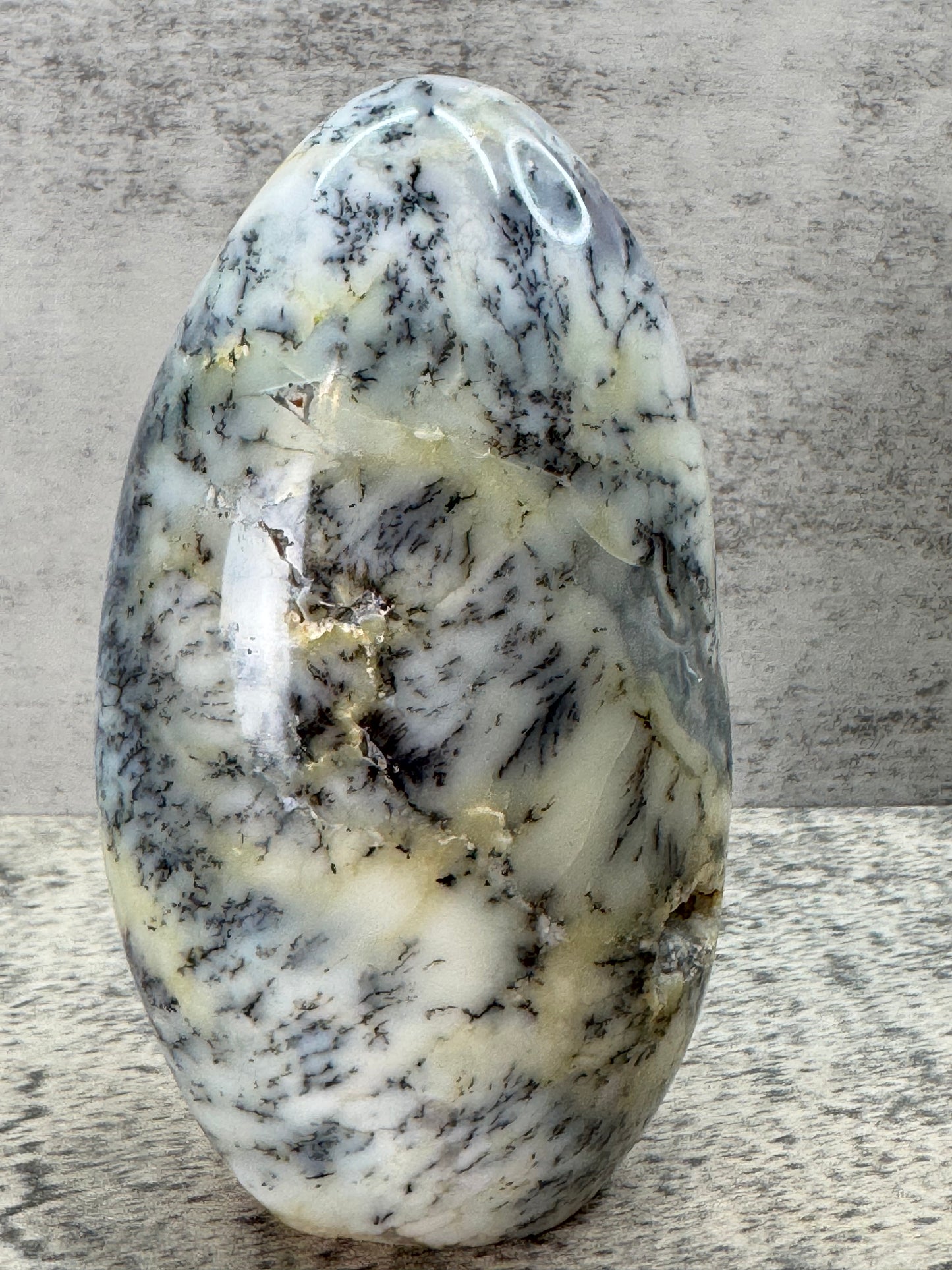 Dendritic Opal Freeform