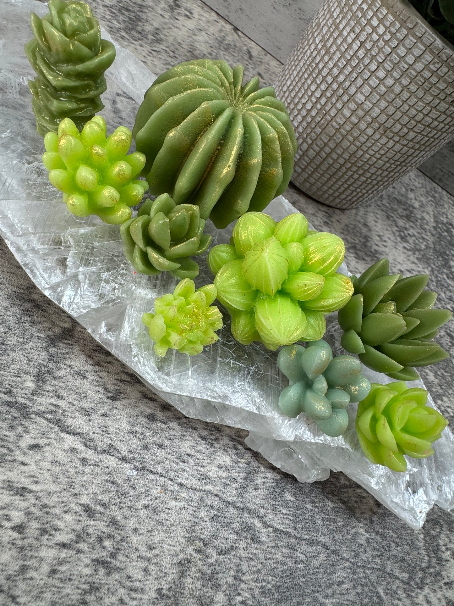 Succulent Wax Melt Box