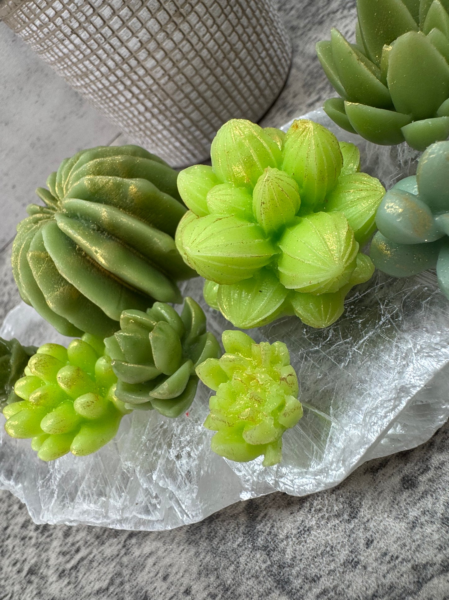 Succulent Wax Melt Box