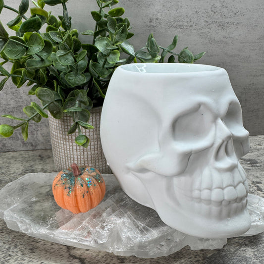 Decorative skull sculpture on a textured surface with a plant and small pumpkin.