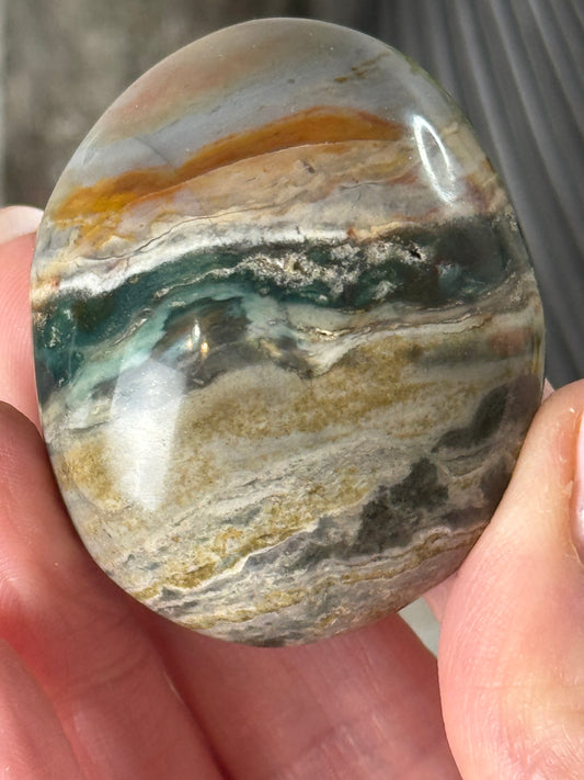 Sea Jasper Palm