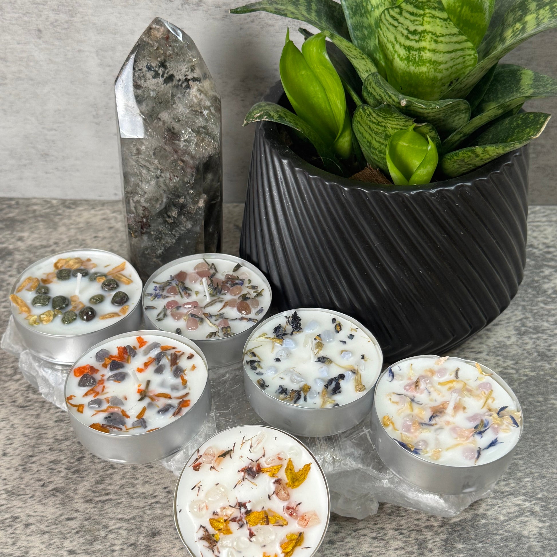 Small containers with decorative elements on a stone surface next to a potted plant