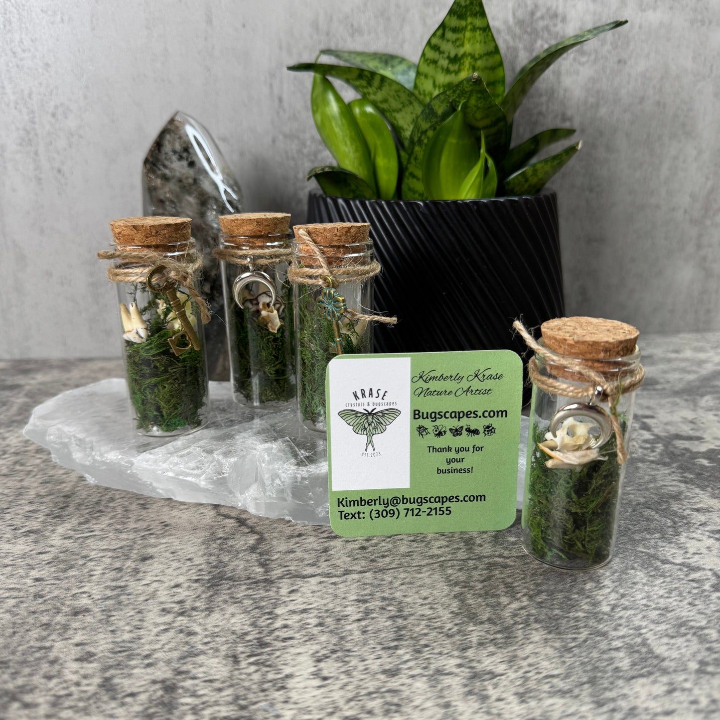 Small glass jars with cork lids containing green substances, placed on a gray surface with a plant in the background.
