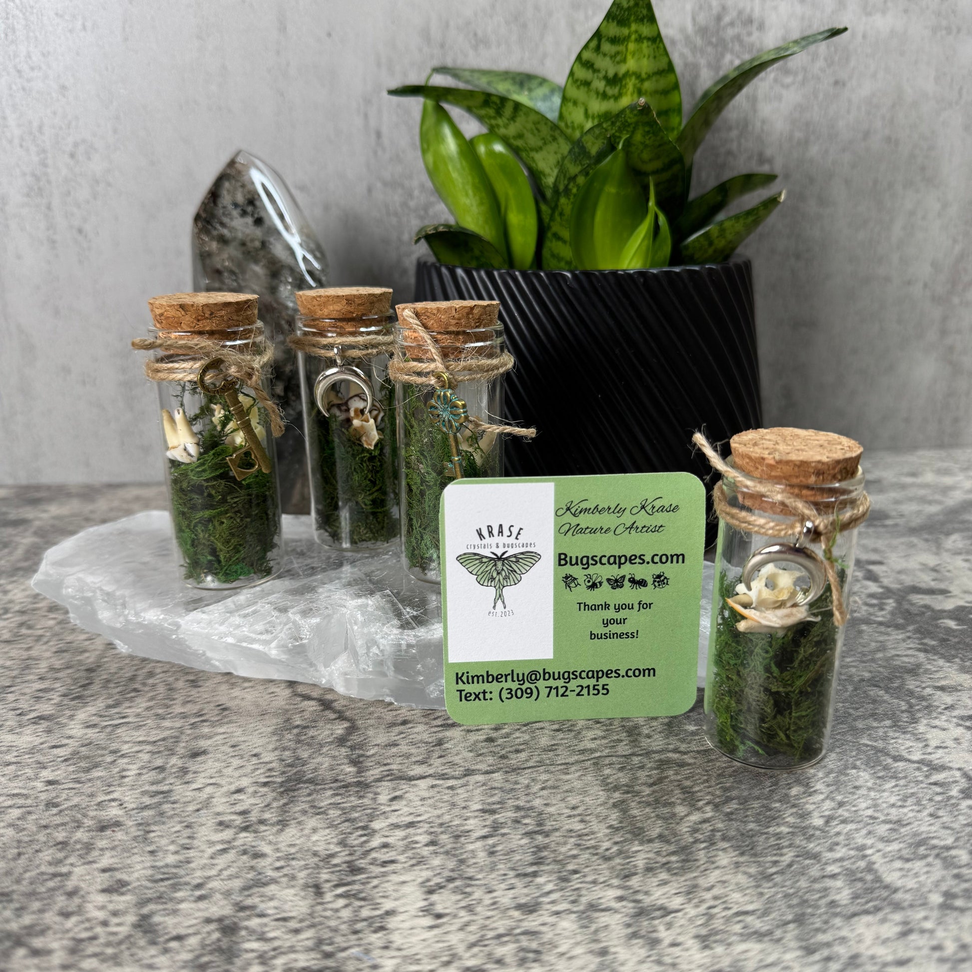 Small glass jars with cork lids containing green substances, placed on a gray surface with a plant in the background.
