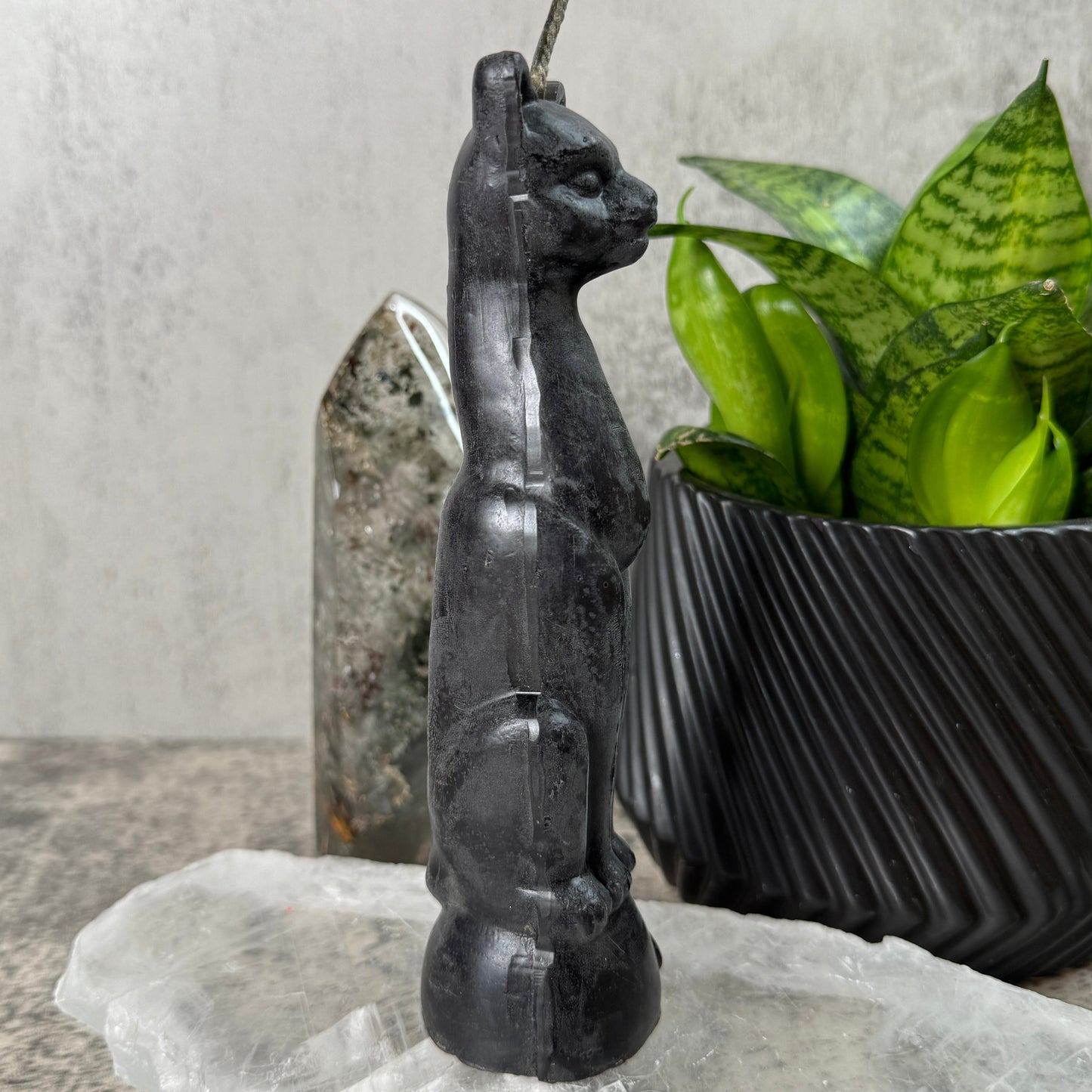 Black hoverboard on a concrete surface with greenery in the background