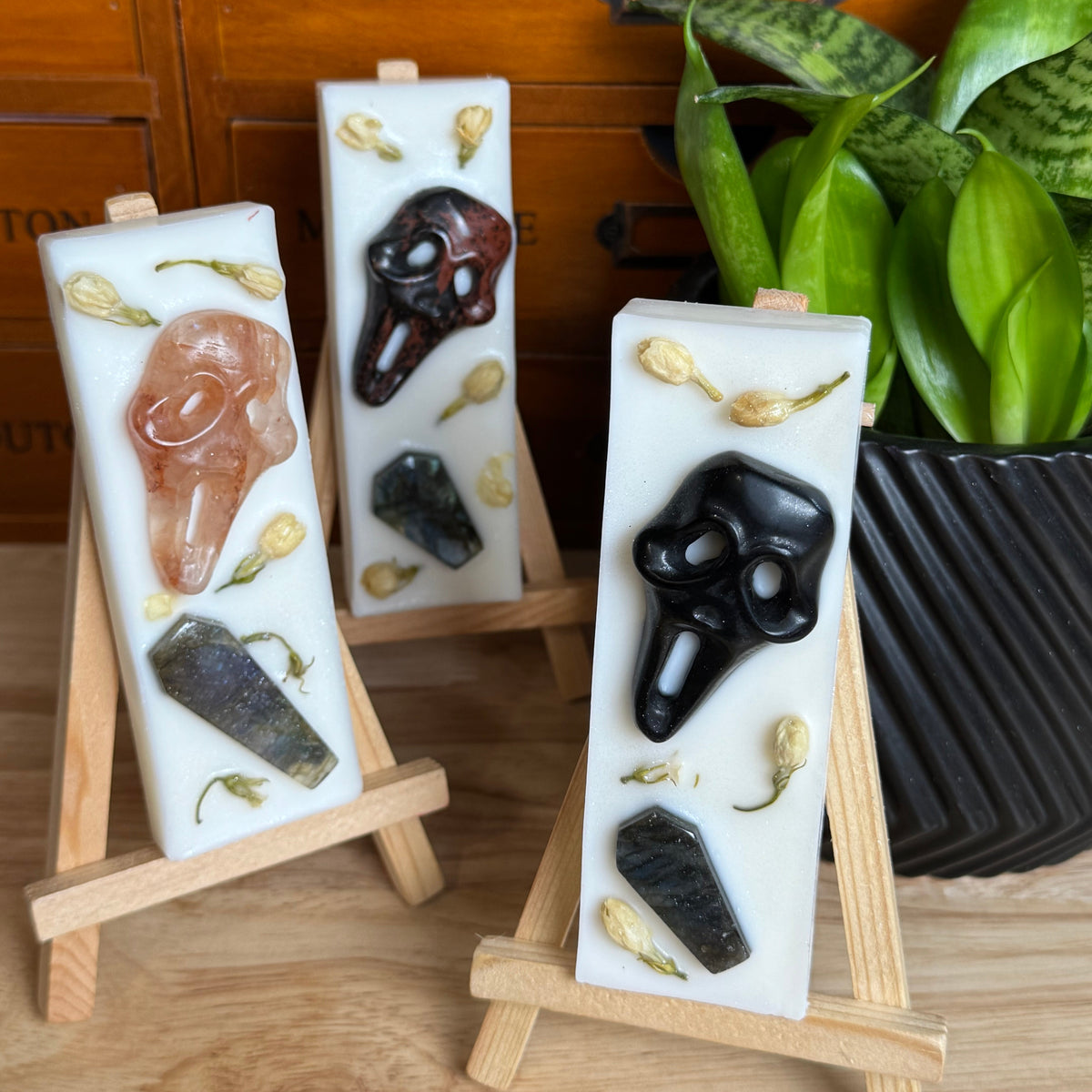 Three white rectangular candles displayed on small wooden stands, each featuring a different skull-shaped inlay and dried flower accents. The candles are arranged in front of a wooden drawer cabinet with a green potted plant in the background.