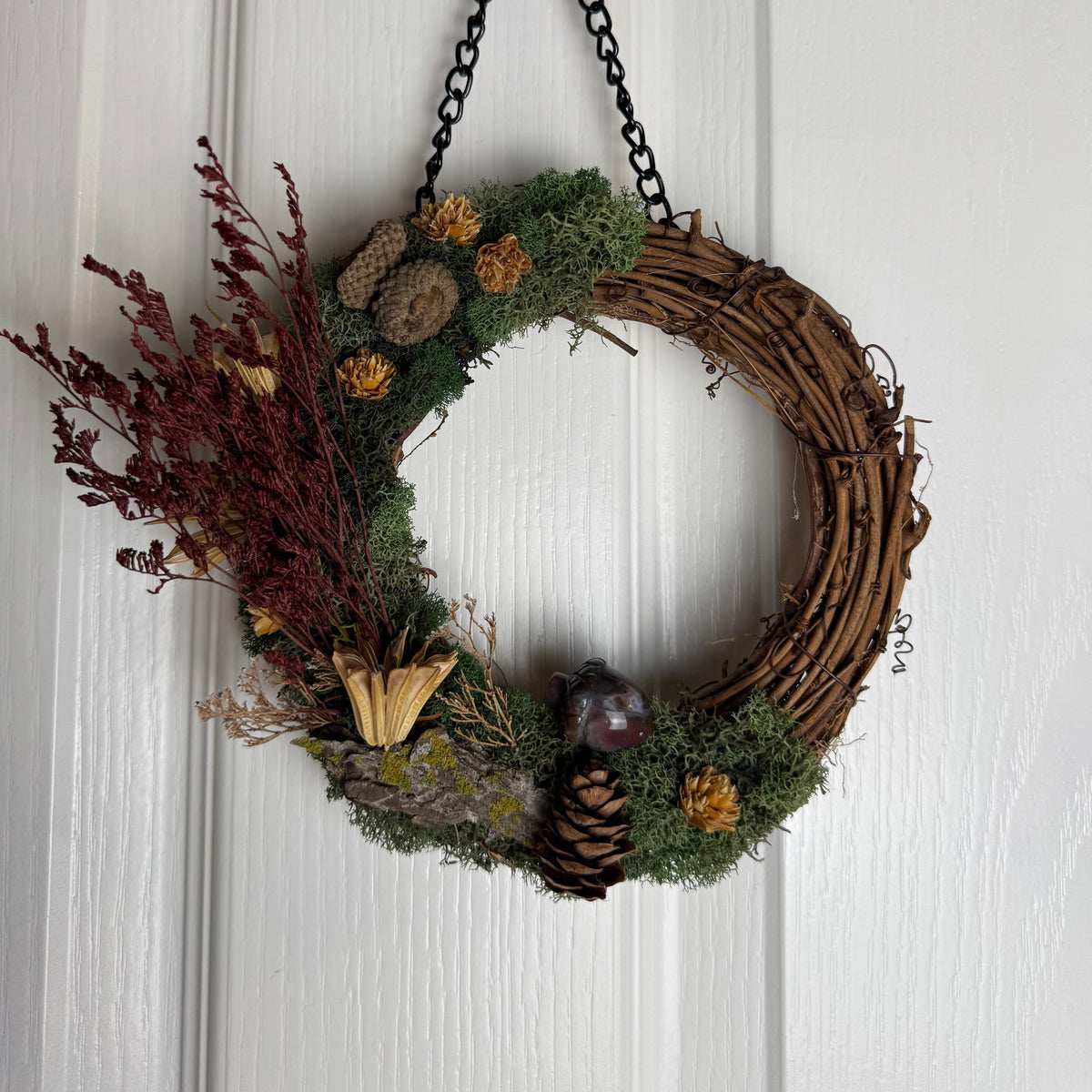 A rustic autumn grapevine wreath hanging on a white paneled door. The wreath is made of brown grapevine branches and decorated with green moss, pinecones, small dried flowers, and a cluster of burgundy dried grasses on the left side, hanging from a black chain.