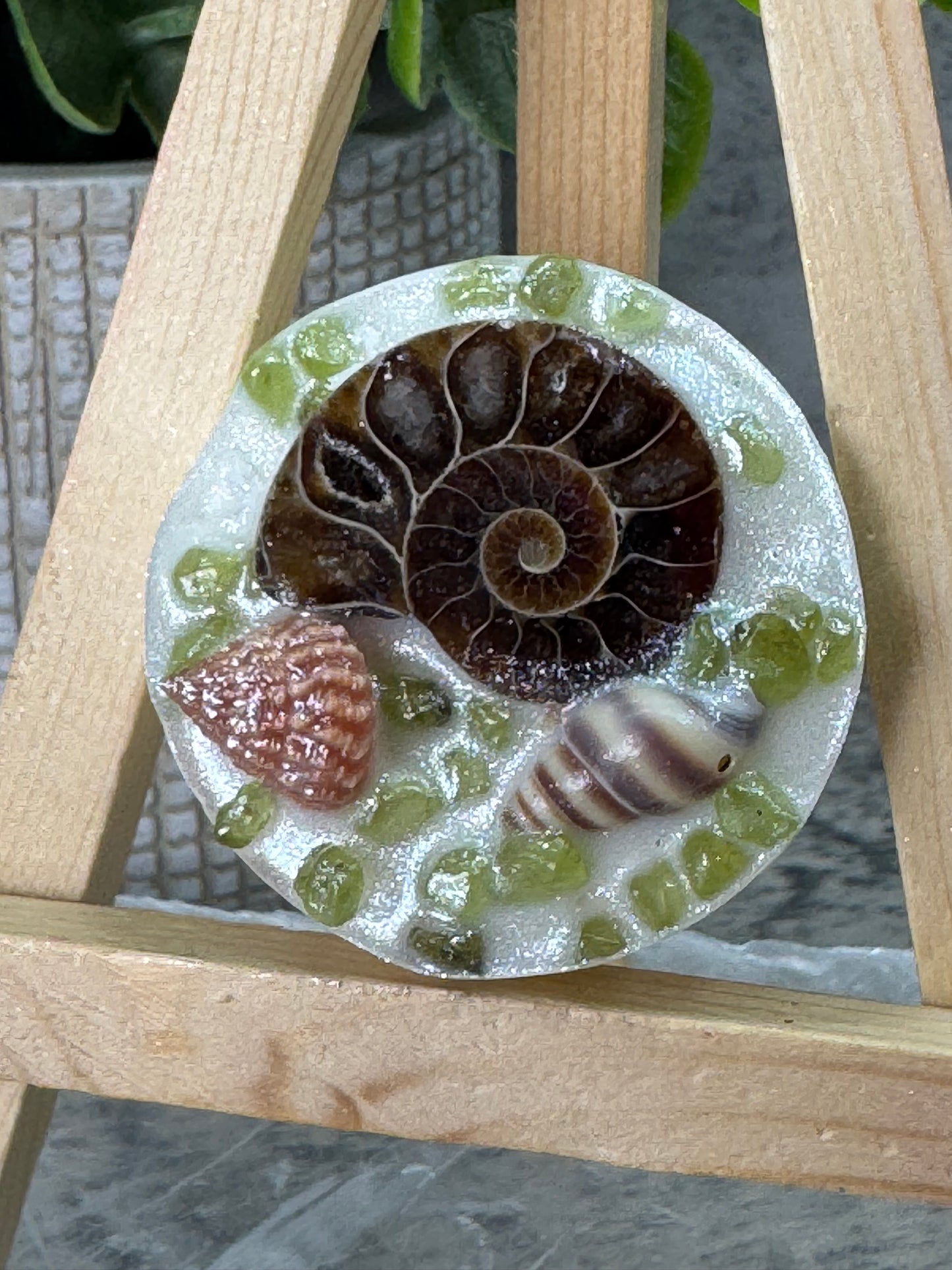 Crystal Pods