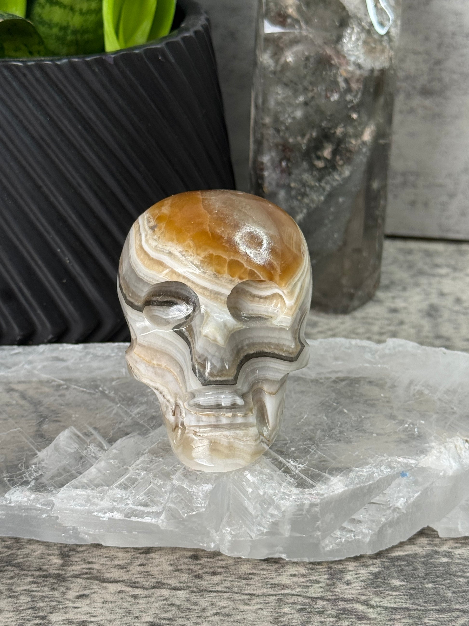 Decorative stone skull with a natural stone background