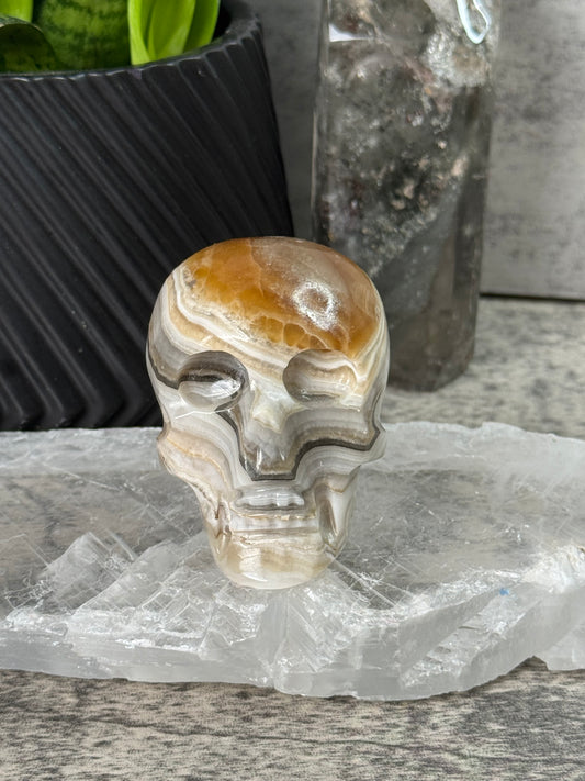 Decorative stone skull with a natural stone background