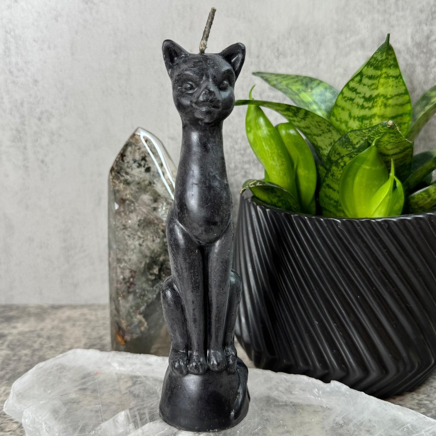 Black cat figurine on a stone surface with a plant in the background