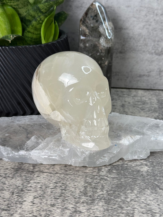 Crystal skull on a stand with a gray background