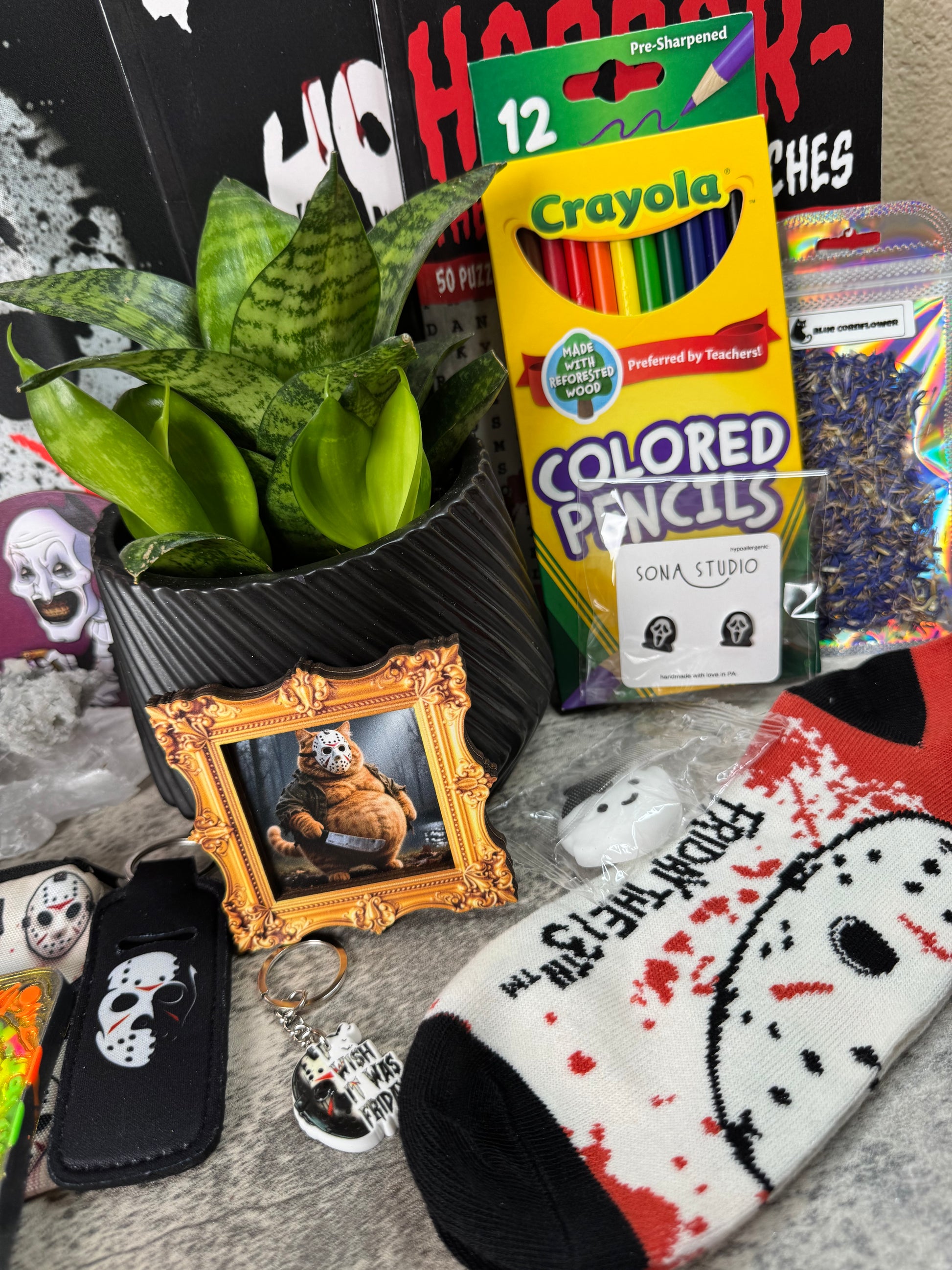 A flat-lay assortment of themed merchandise featuring Friday the 13th and Halloween designs, including a black and white sock with red blood splatter and 'Friday the 13th' text, a Crayola box of colored pencils, a small framed picture of a hockey mask, a black wallet, and a potted snake plant.