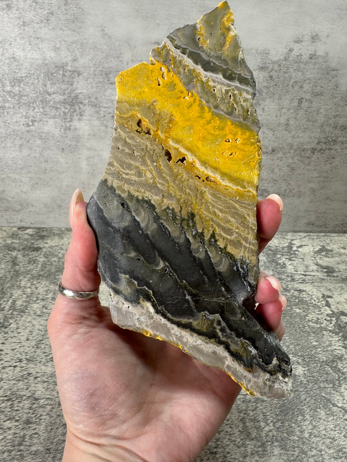 Bumblebee Jasper Slab