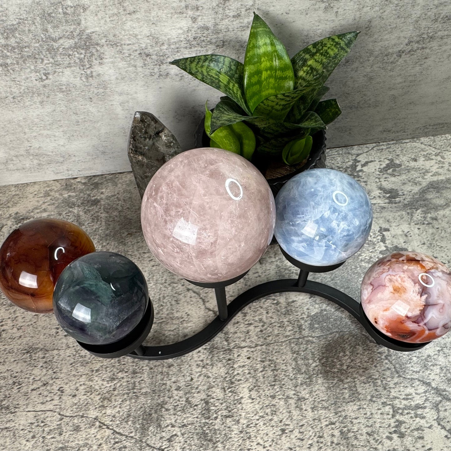 Five multicolored spherical objects on a stand with a plant in the background.